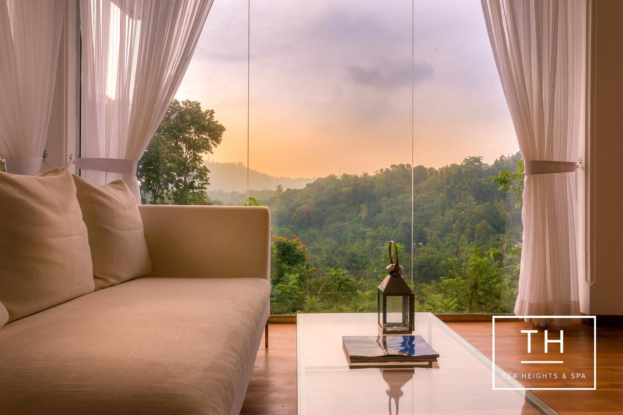 Hotel Tea Heights Kandy Zewnętrze zdjęcie